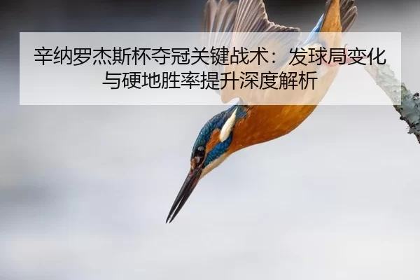 辛纳罗杰斯杯夺冠关键战术：发球局变化与硬地胜率提升深度解析